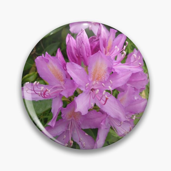 Item preview, Lilac purple rhododendron  designed and sold by LittleBettyMakes.