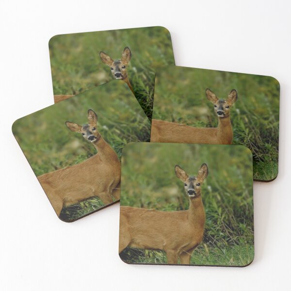 Item preview, Doe in the forest designed and sold by Guardi71.