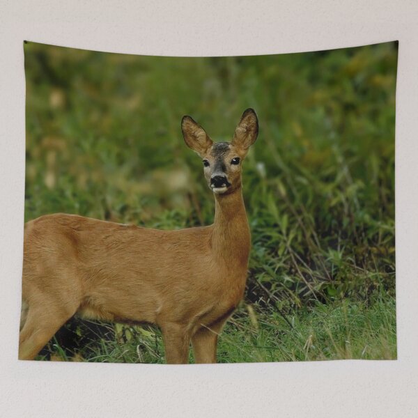Item preview, Doe in the forest designed and sold by Guardi71.