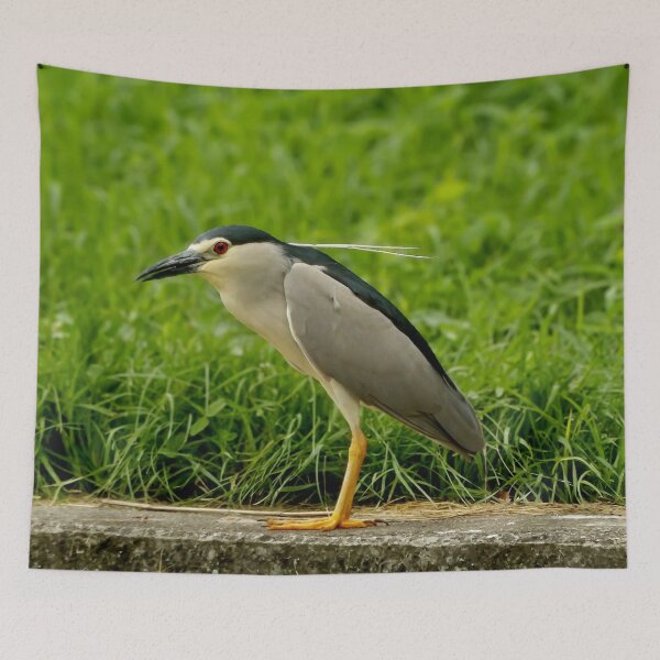 Item preview, Night-heron designed and sold by Guardi71.