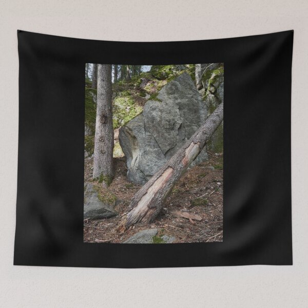 Item preview, Brought here by the ice age 1 designed and sold by Jouko Lehto Photography.