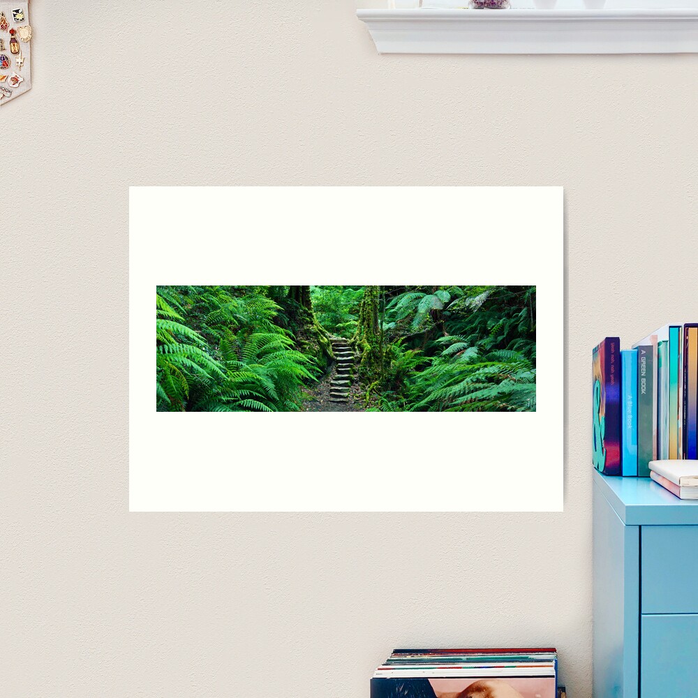 Grand Canyon Track, Blue Mountains, New South Wales, Australia Art Print
