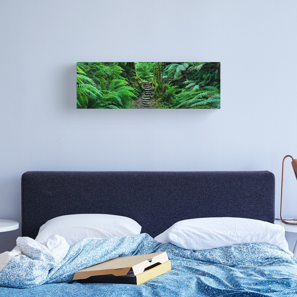Grand Canyon Track, Blue Mountains, New South Wales, Australia Canvas Print