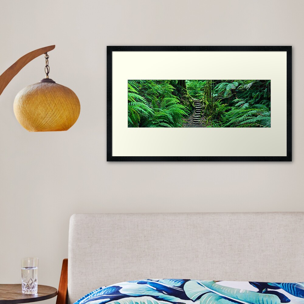 Grand Canyon Track, Blue Mountains, New South Wales, Australia Framed Art Print