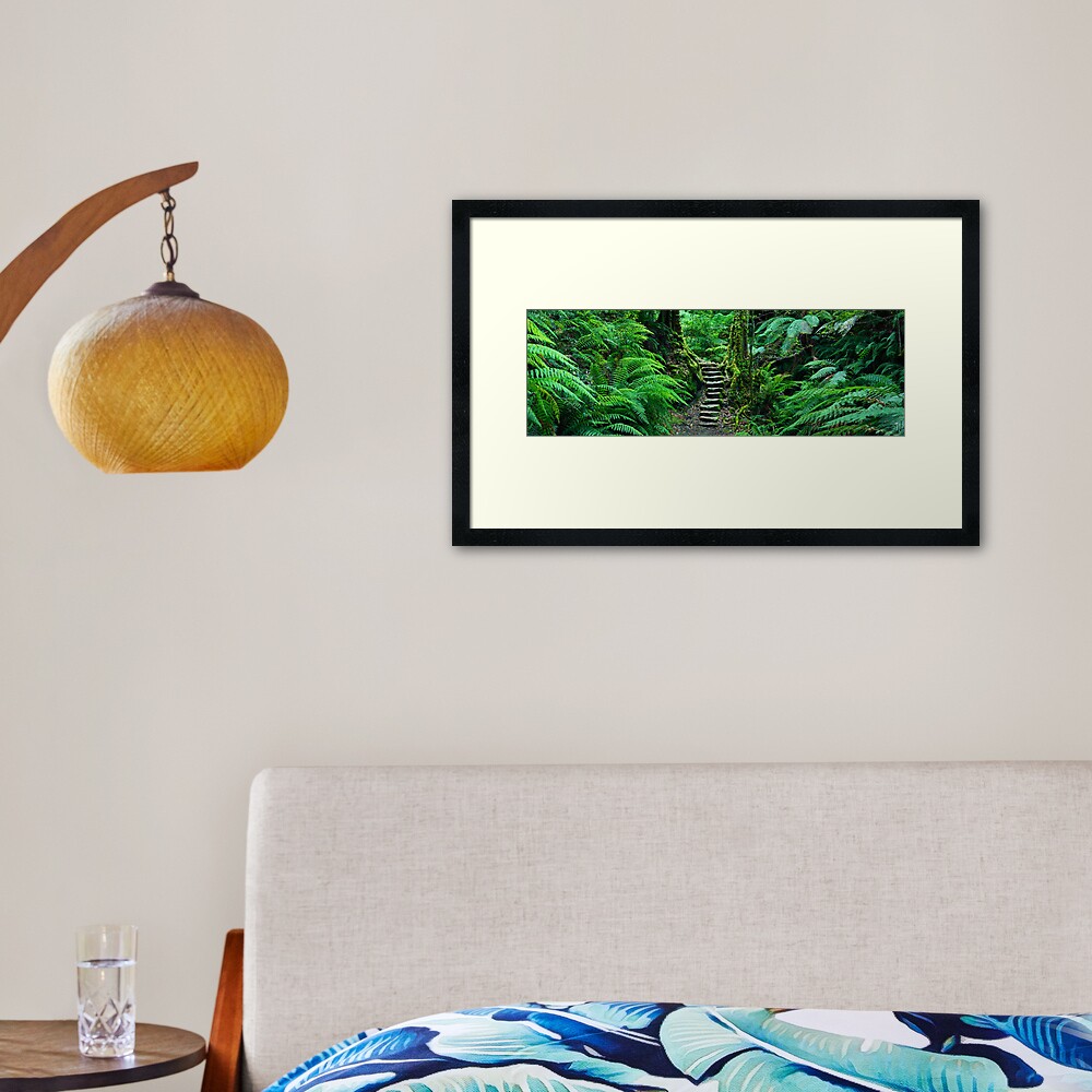 Grand Canyon Track, Blue Mountains, New South Wales, Australia Framed Art Print