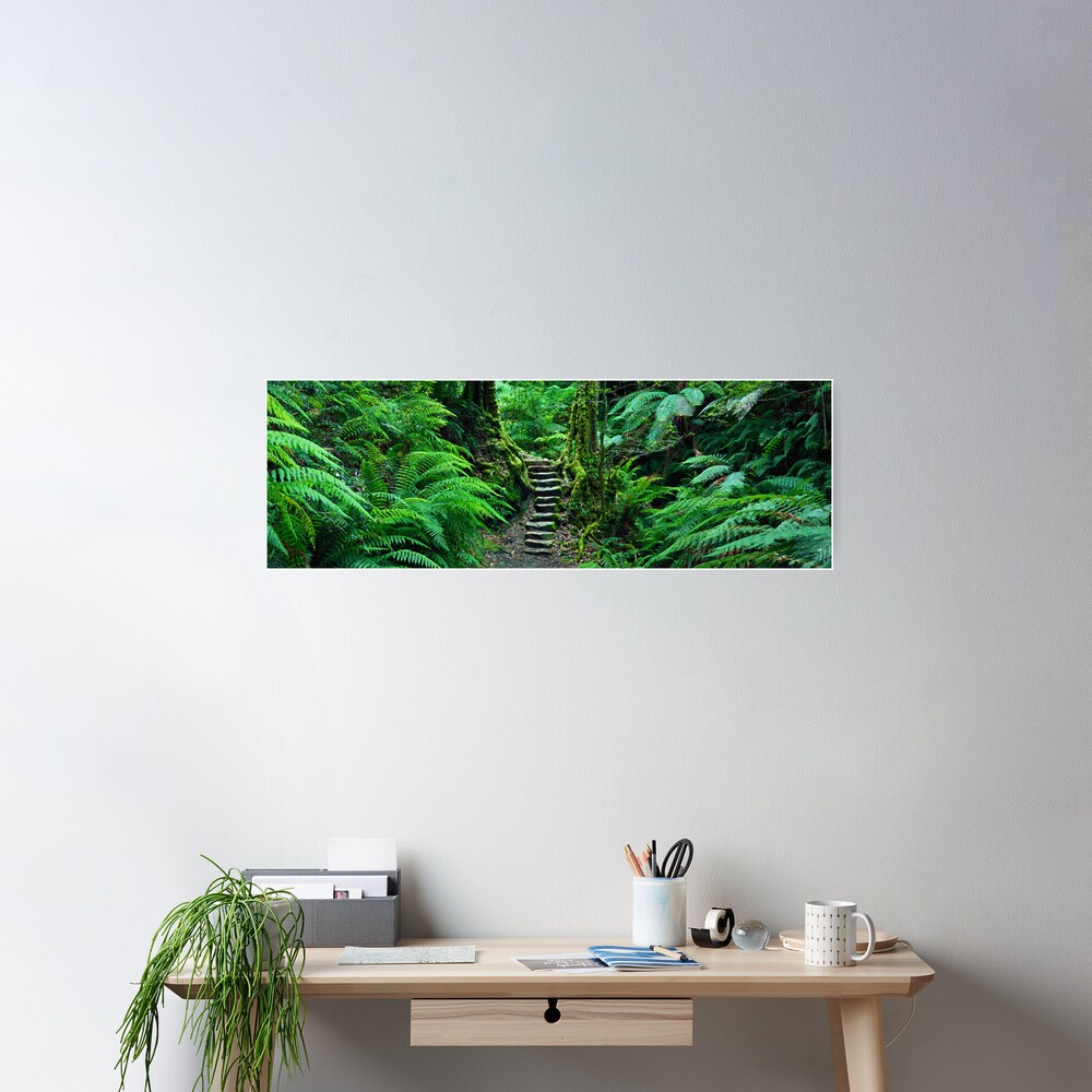 Grand Canyon Track, Blue Mountains, New South Wales, Australia Poster