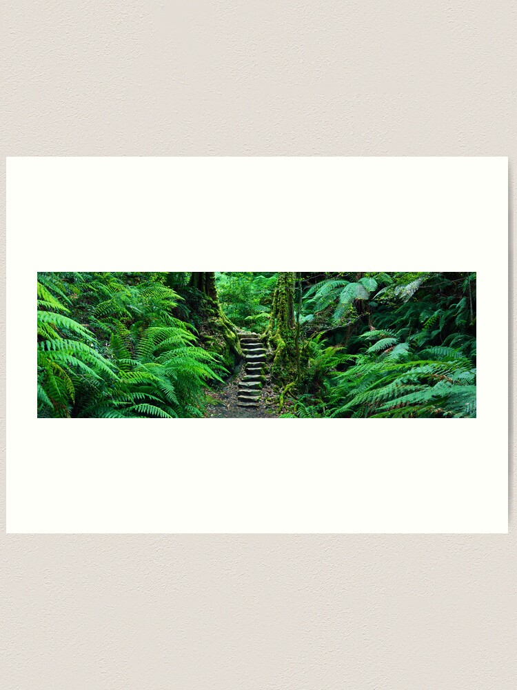 Alternate view of Grand Canyon Track, Blue Mountains, New South Wales, Australia Art Print