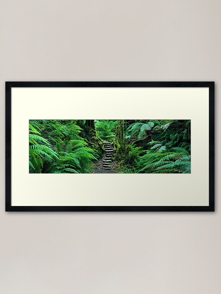Alternate view of Grand Canyon Track, Blue Mountains, New South Wales, Australia Framed Art Print