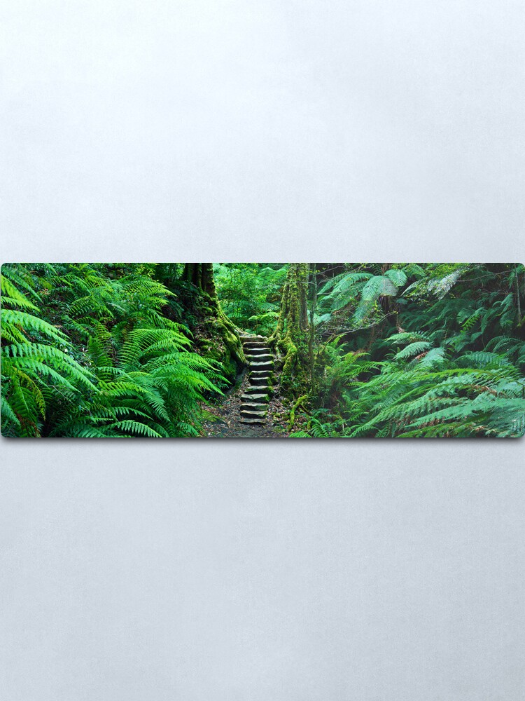 Alternate view of Grand Canyon Track, Blue Mountains, New South Wales, Australia Metal Print