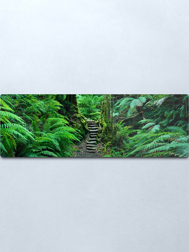 Alternate view of Grand Canyon Track, Blue Mountains, New South Wales, Australia Metal Print