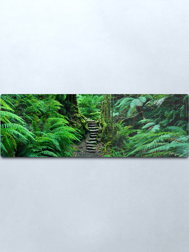 Alternate view of Grand Canyon Track, Blue Mountains, New South Wales, Australia Metal Print