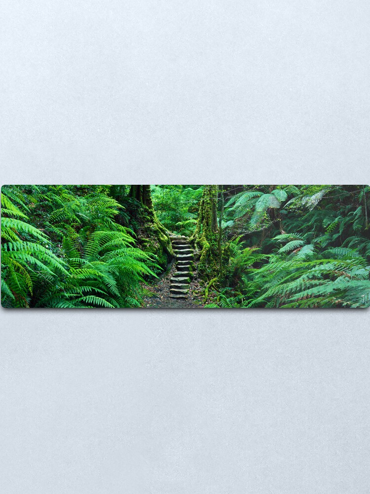 Alternate view of Grand Canyon Track, Blue Mountains, New South Wales, Australia Metal Print