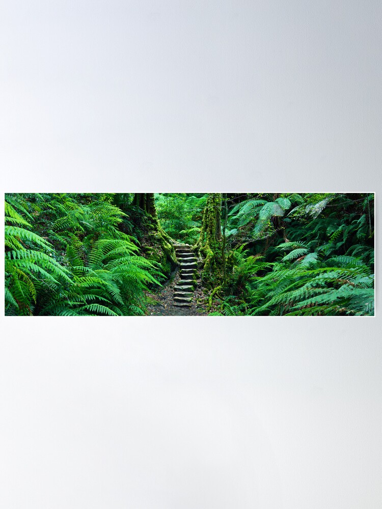 Alternate view of Grand Canyon Track, Blue Mountains, New South Wales, Australia Poster