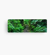 Grand Canyon Track, Blue Mountains, New South Wales, Australia Canvas Print