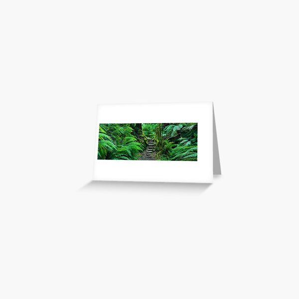 Grand Canyon Track, Blue Mountains, New South Wales, Australia Greeting Card