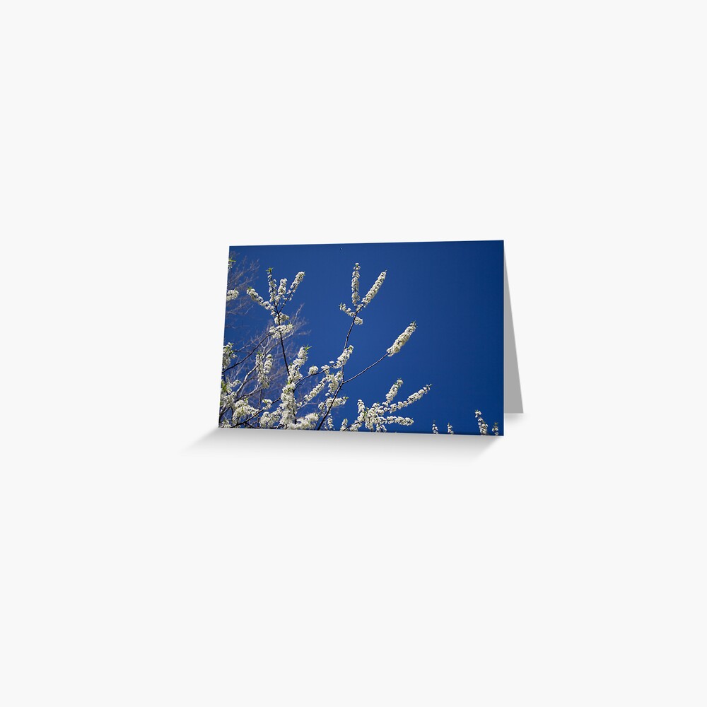 Item preview, Greeting Card designed and sold by littleoldhag.