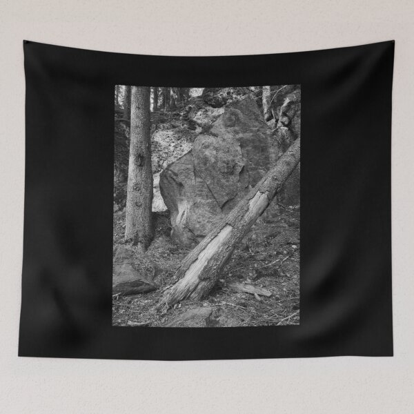 Item preview, Brought here by the ice age 1 bw designed and sold by Jouko Lehto Photography.