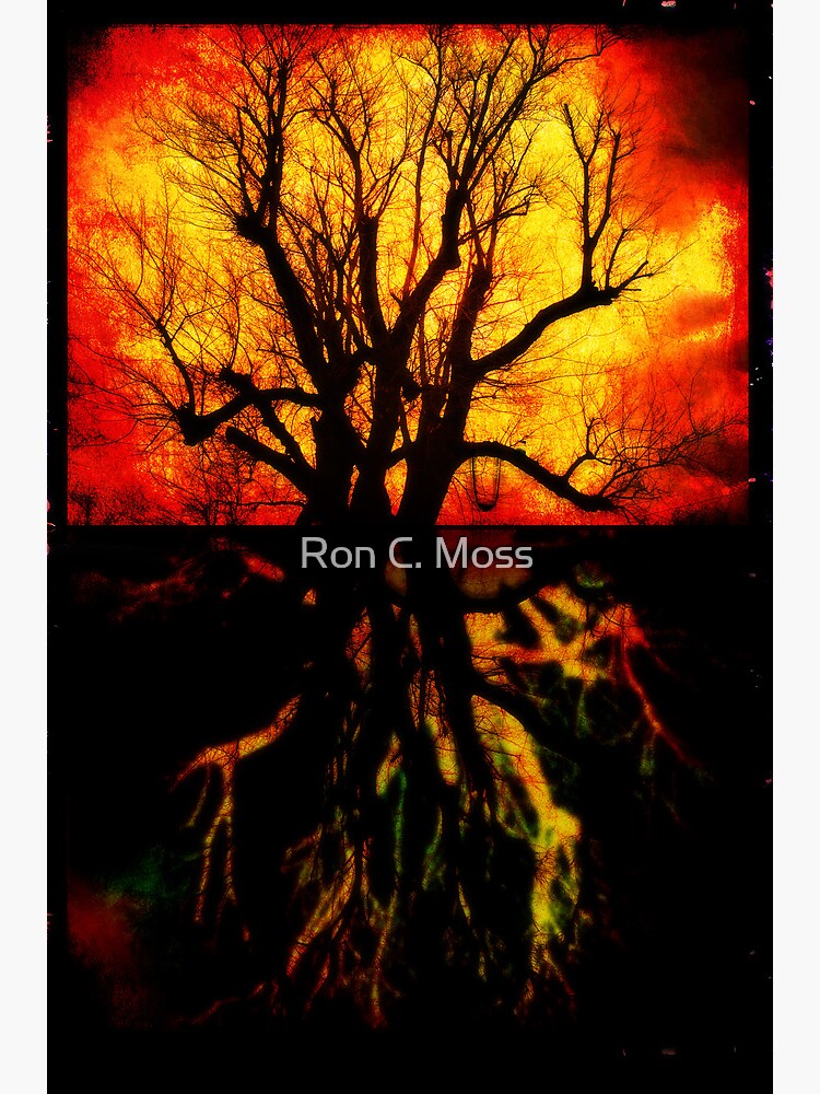 Tree Spirit by ronmoss