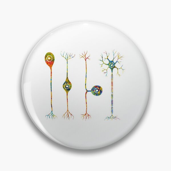 Item preview, Four types of neurons designed and sold by Liededrom..