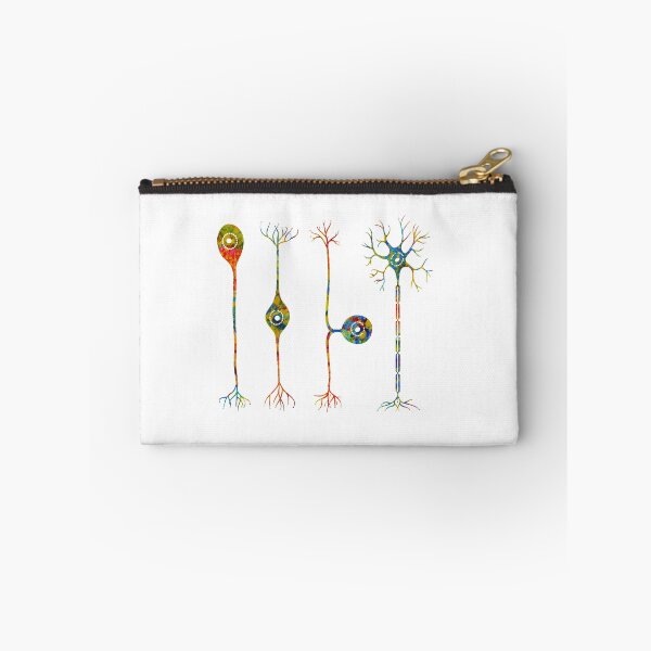 Item preview, Four types of neurons designed and sold by Liededrom..