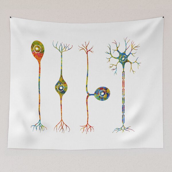 Item preview, Four types of neurons designed and sold by Liededrom..