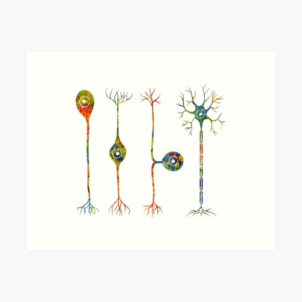 Vista previa del artículo con la obra «Cuatro tipos de neuronas», diseñado y vendido por Liededrom..