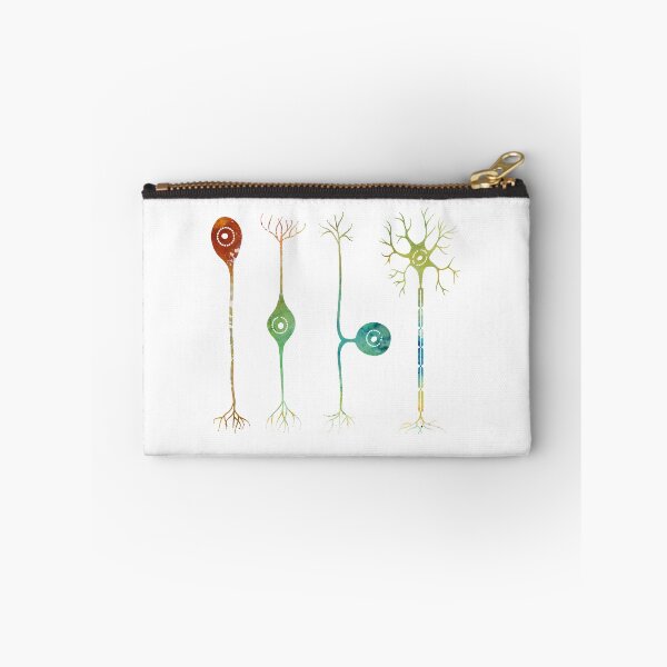 Item preview, Four types of neurons designed and sold by Liededrom..