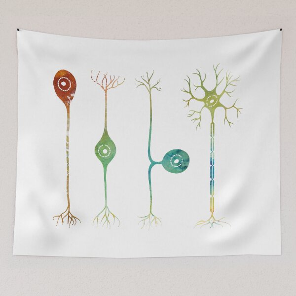 Item preview, Four types of neurons designed and sold by Liededrom..