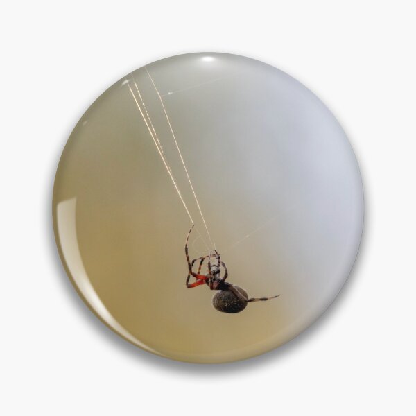 Item preview, Orb-Weaver Hanging by a Thread designed and sold by Jacob Nava.