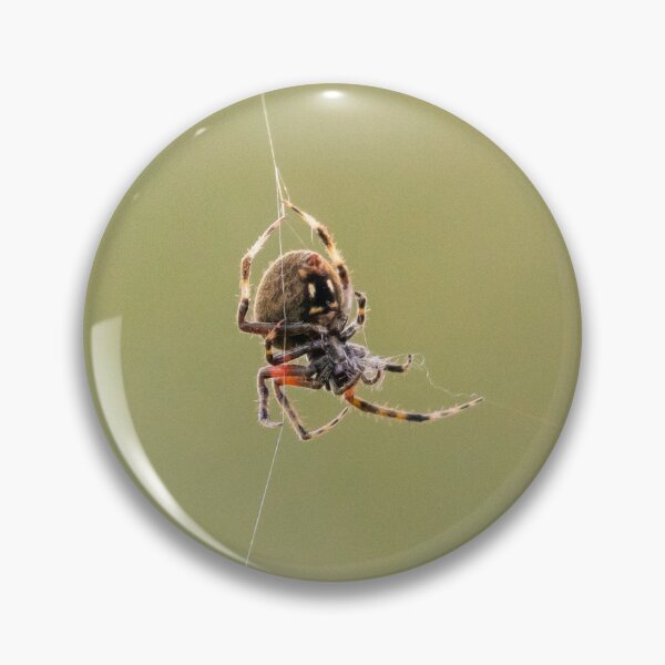 Artikelvorschau, Orb-Weaver zwischen Web entworfen und verkauft von Jacob Nava.