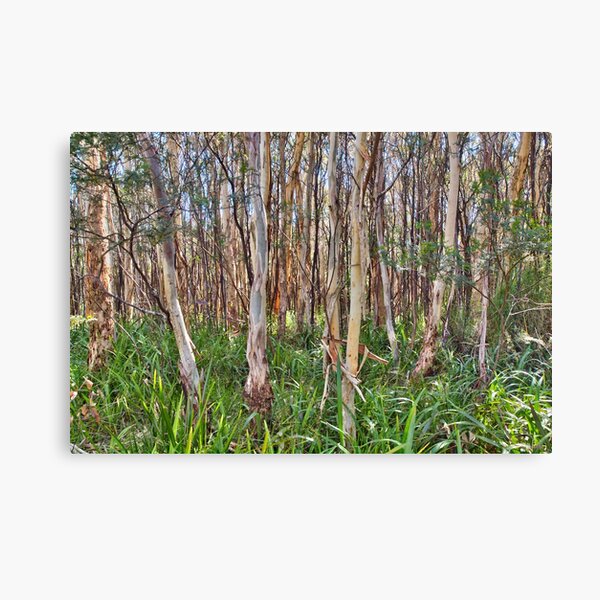 Item preview, Looking Through Trees. Mt Macedon designed and sold by John Sharp.