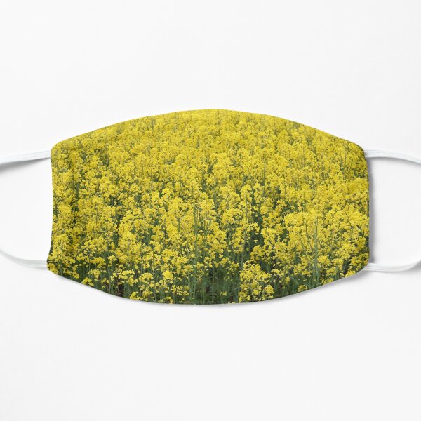 Beautiful shining rapeseed Mask