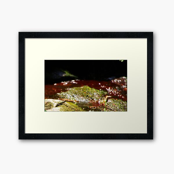 AT THE SEASIDE Framed Art Print