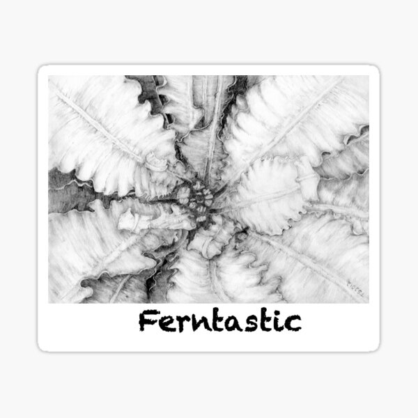 Fantastic ferns 1 Sticker
