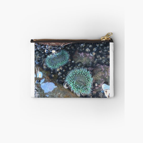 Item preview, Tide Pools Sea Anemone  designed and sold by Adventurersyd.