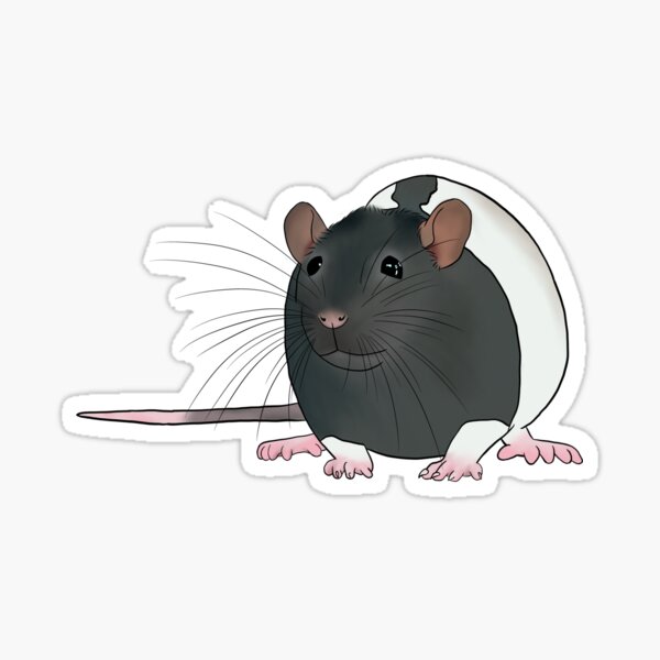 Item preview, Black Hooded Fancy Rat designed and sold by Lilystreet.