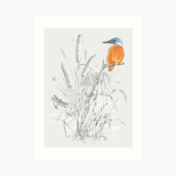 Kingfisher 1 Art Print