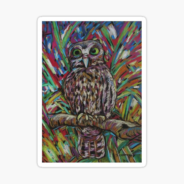Morepork Ruru Sticker