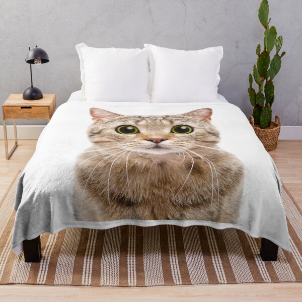 Item preview, Cute Cat Photo designed and sold by Artem322.