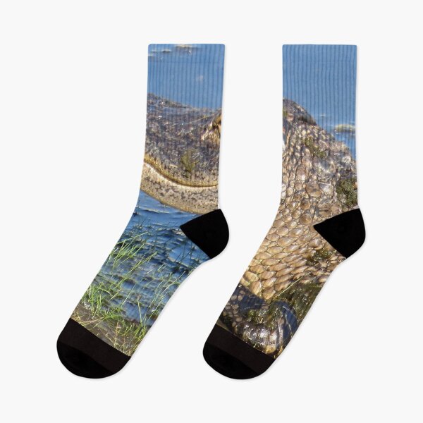 Item preview, Alligator in the wild, Florida, USA designed and sold by PPFImages.
