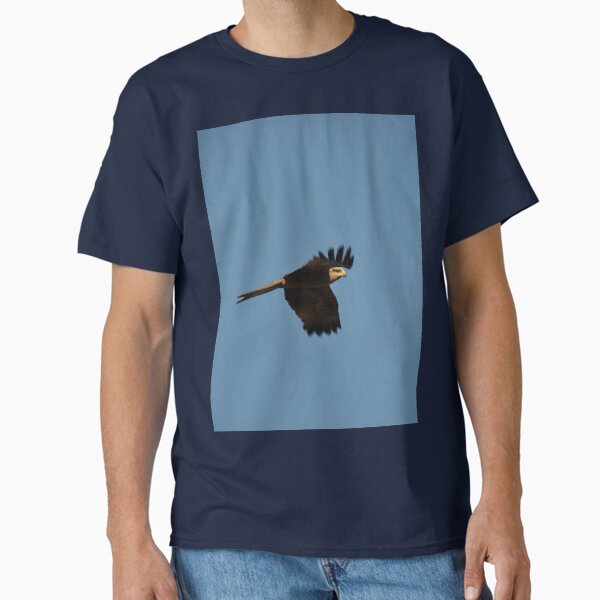 Item preview, 20190914 Wedgetail Eagle, Sturt Highway, NSW, Australia  designed and sold by muz2142.
