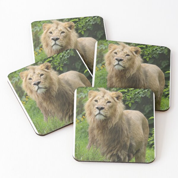 Item preview, Asiatic Lion designed and sold by aquabella.