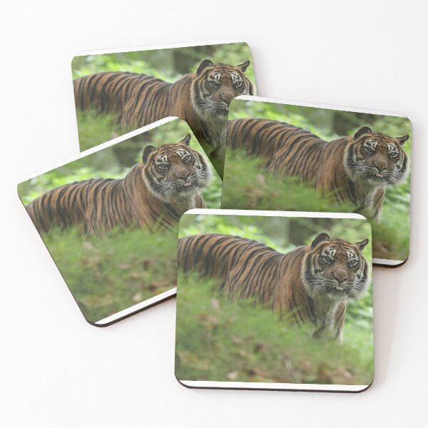 Item preview, Sumatran Tiger designed and sold by aquabella.