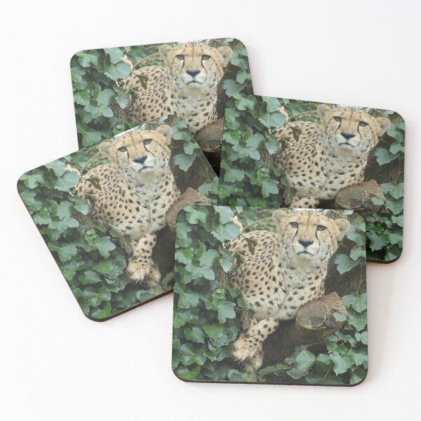 Item preview, Cheetah designed and sold by aquabella.