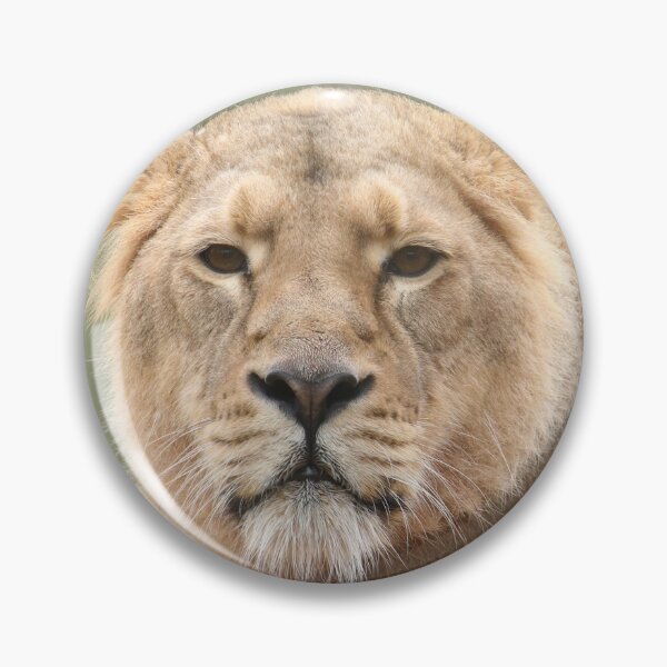Item preview, Asiatic Lion designed and sold by aquabella.