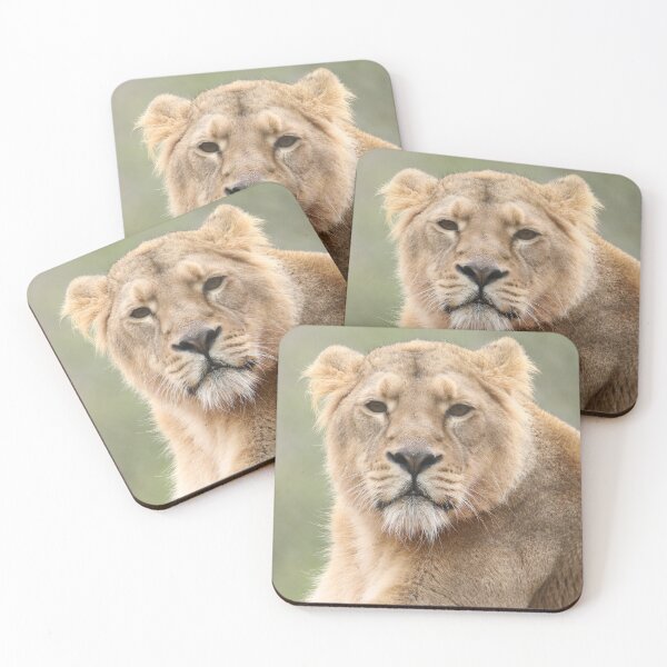 Item preview, Asiatic Lion designed and sold by aquabella.