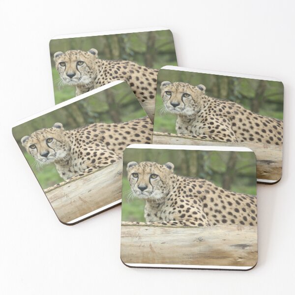 Item preview, Cheetah designed and sold by aquabella.