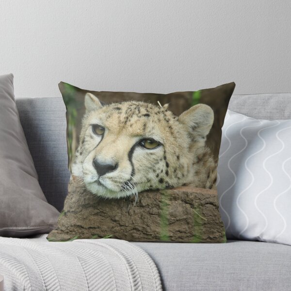 Item preview, Cheetah designed and sold by aquabella.
