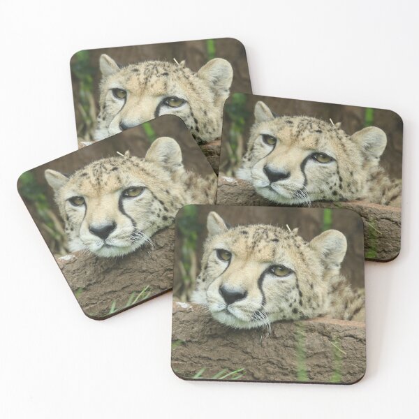 Item preview, Cheetah designed and sold by aquabella.