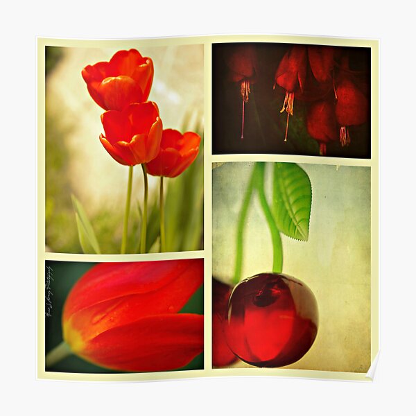 Nature in Red Poster